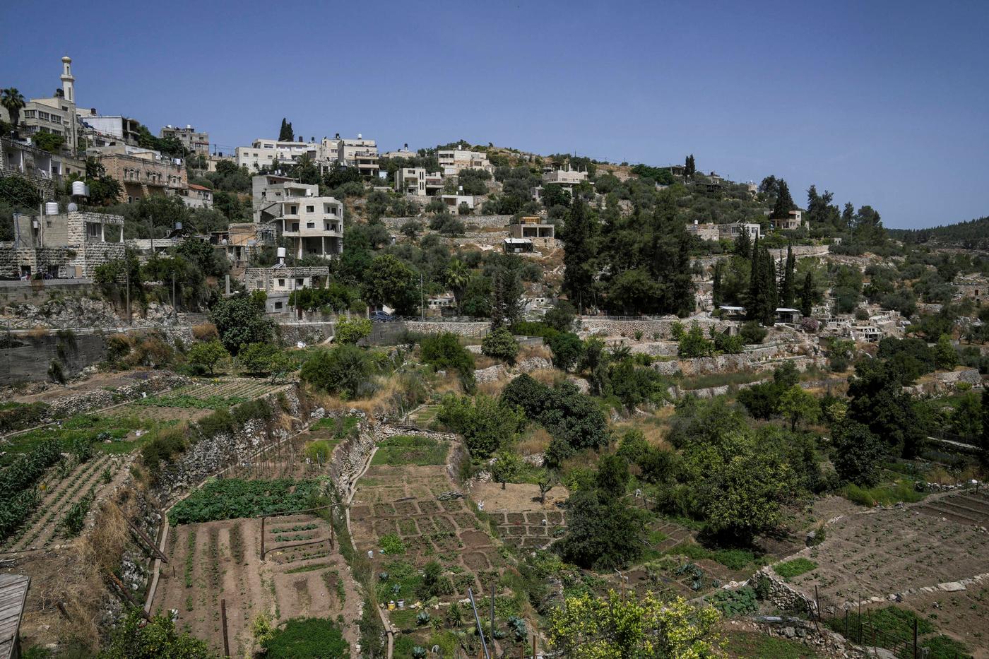 White House Forms Donald Trump-Backed Gaza Peace Council, Netanyahu Opposes Composition