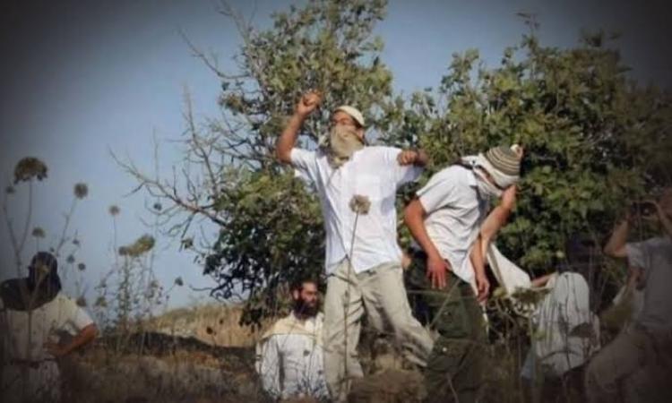 Image from Al-Hay'ah Al-Wataniyah Lil-I'lam
