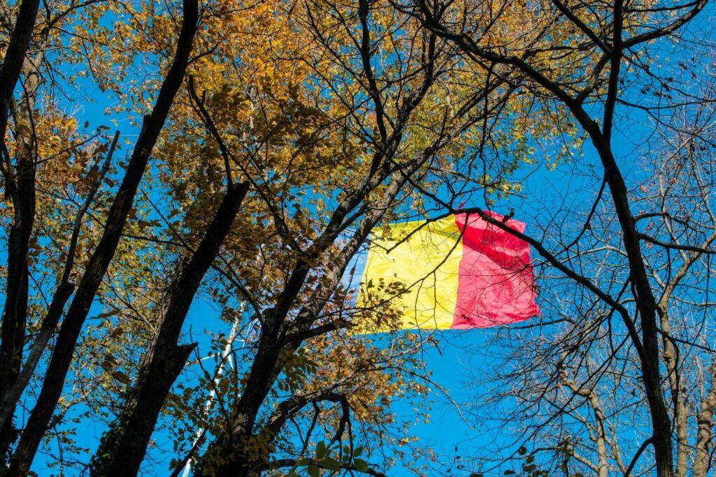 China And India’s Solar Surge Kept Fossil Generation Flat In 2025, Ember Finds