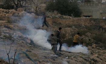 Israeli Settlers Burn Hundreds of Dunams of Wheat and Olive Trees West of Hebron