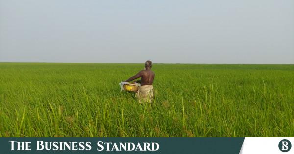 Image from The Business Standard