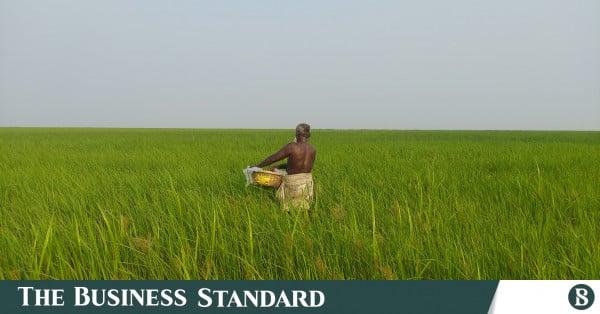 Image from The Business Standard