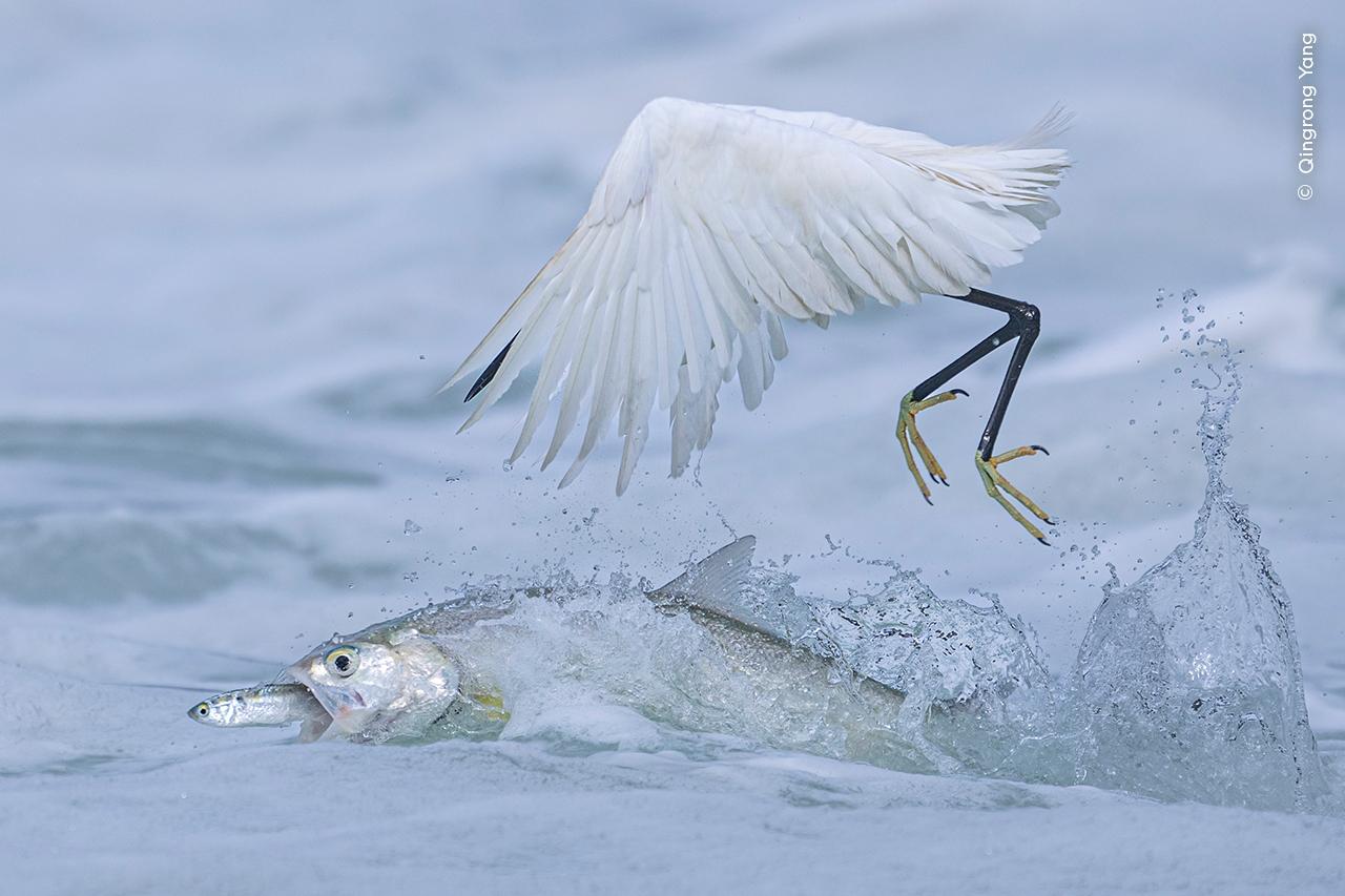 Image from The Phoblographer