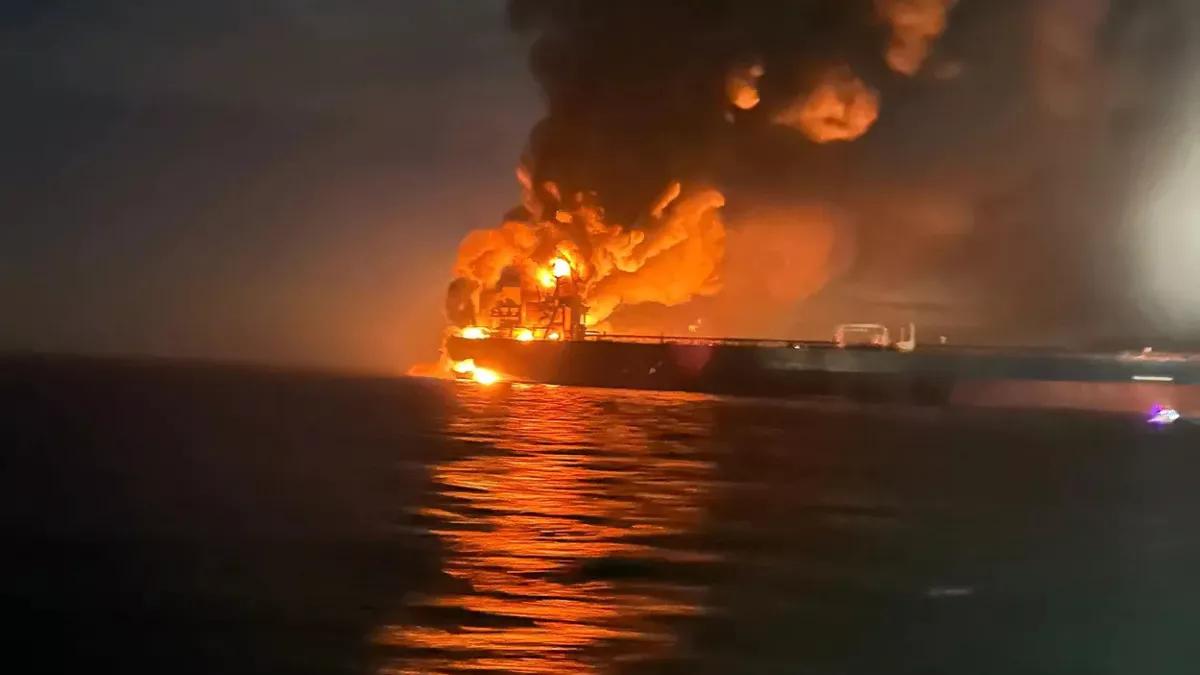 Zelenskyy Blames Russian Drones for Sinking Turkish-Owned Grain Ship Royad Mammadov in Black Sea
