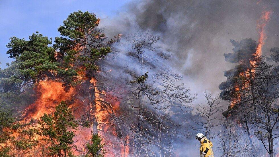 France Evacuates About 20,000 as Wildfires Spread Near Lège-Cap Ferret in Gironde