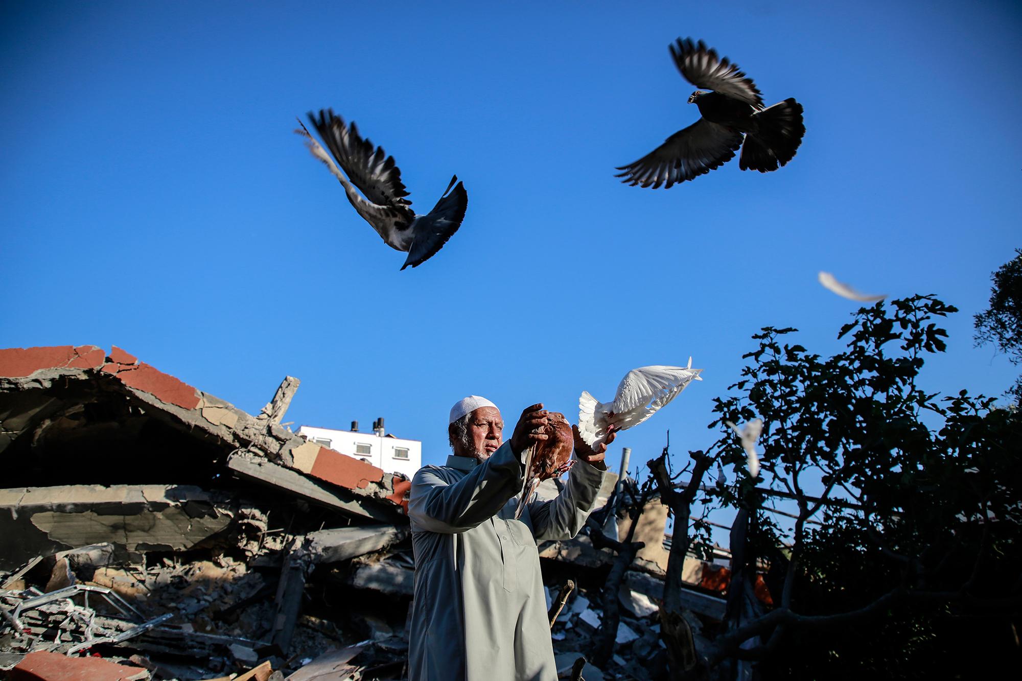 Ghaith Al-Omari Urges Trump Administration To Support Gaza's National Administrative Committee