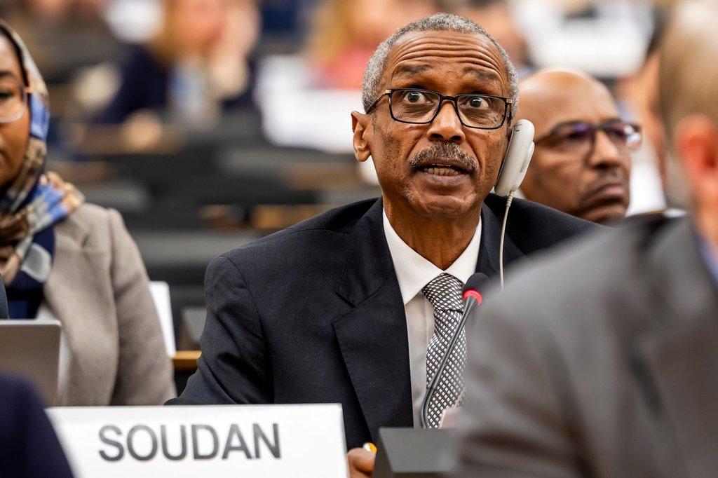 UN Human Rights Council Deploys Fact-Finding Mission to Investigate Rapid Support Forces Massacre in El Fasher