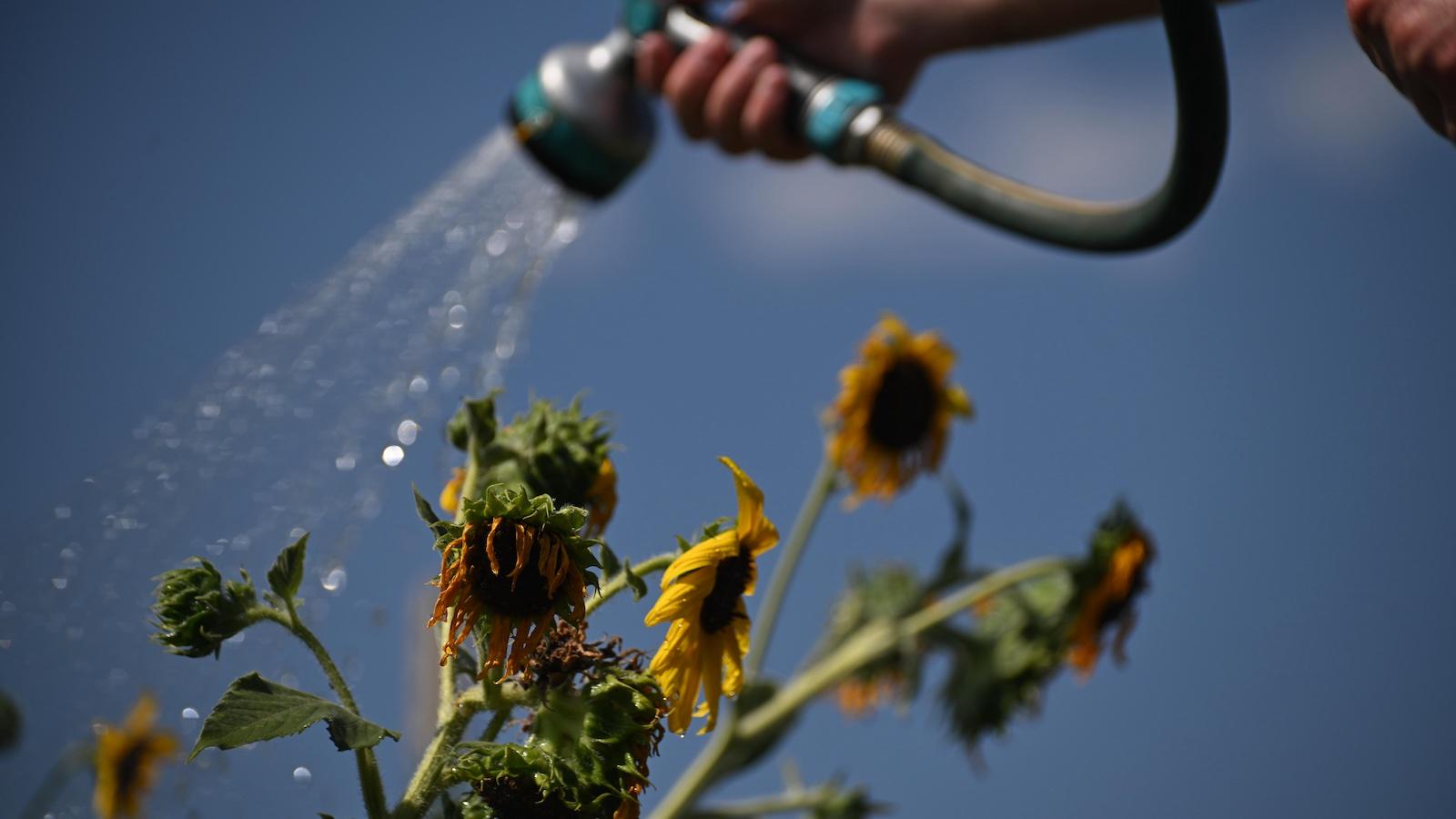 NOAA Says United States Logged Hottest Summer On Record In 132 Years