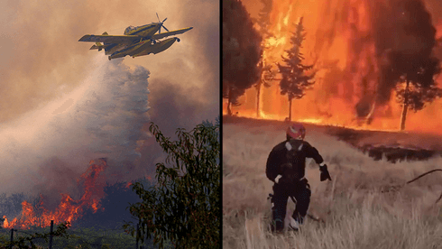 Wildfires Force Nearly 300,000 Evacuations in France and Spain as Heatwave Looms