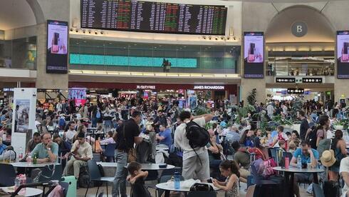 Ben Gurion Airport Crisis Event Halts Incoming Flights After Baggage Workers Sanctions