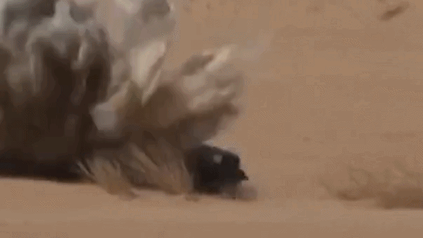 Houthis Attack Saudi Aramco Administrative Building in Dhahran, Triggering Limited Fire