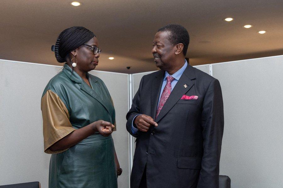 UN General Assembly and Security Council Elect Kenyan Professor Phoebe Okowa, Who Accused Israel of Apartheid, to International Court of Justice