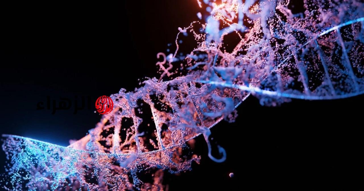 Study Finds Two Ghost Human Lineages in Modern Humans’ DNA, Including Africa Interbreeding