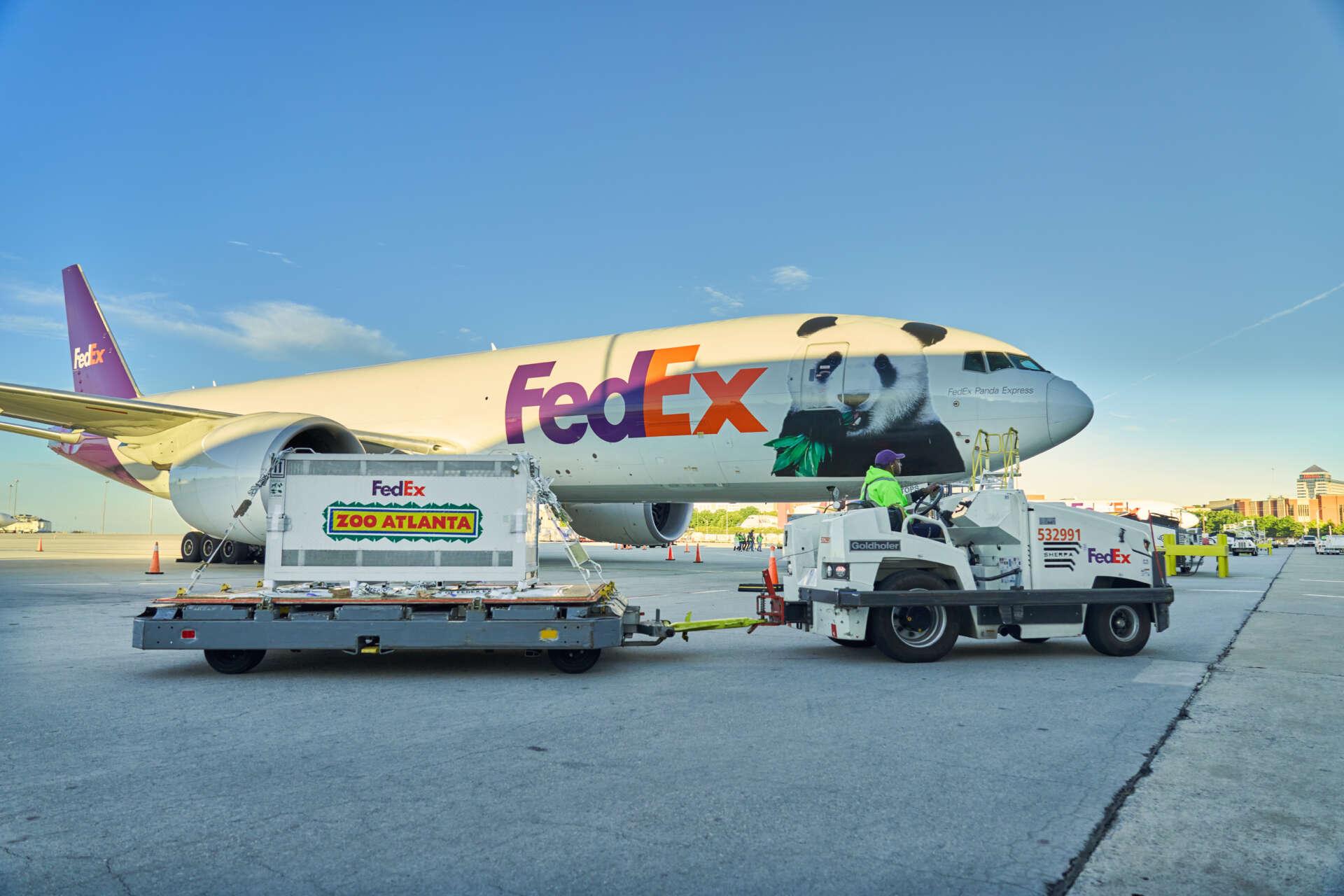 Ping Ping and Fu Shuang Arrive at Zoo Atlanta From China on FedEx Panda Express Boeing 777